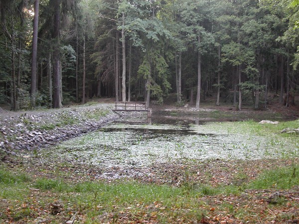 Rybnek nad Kozlem 