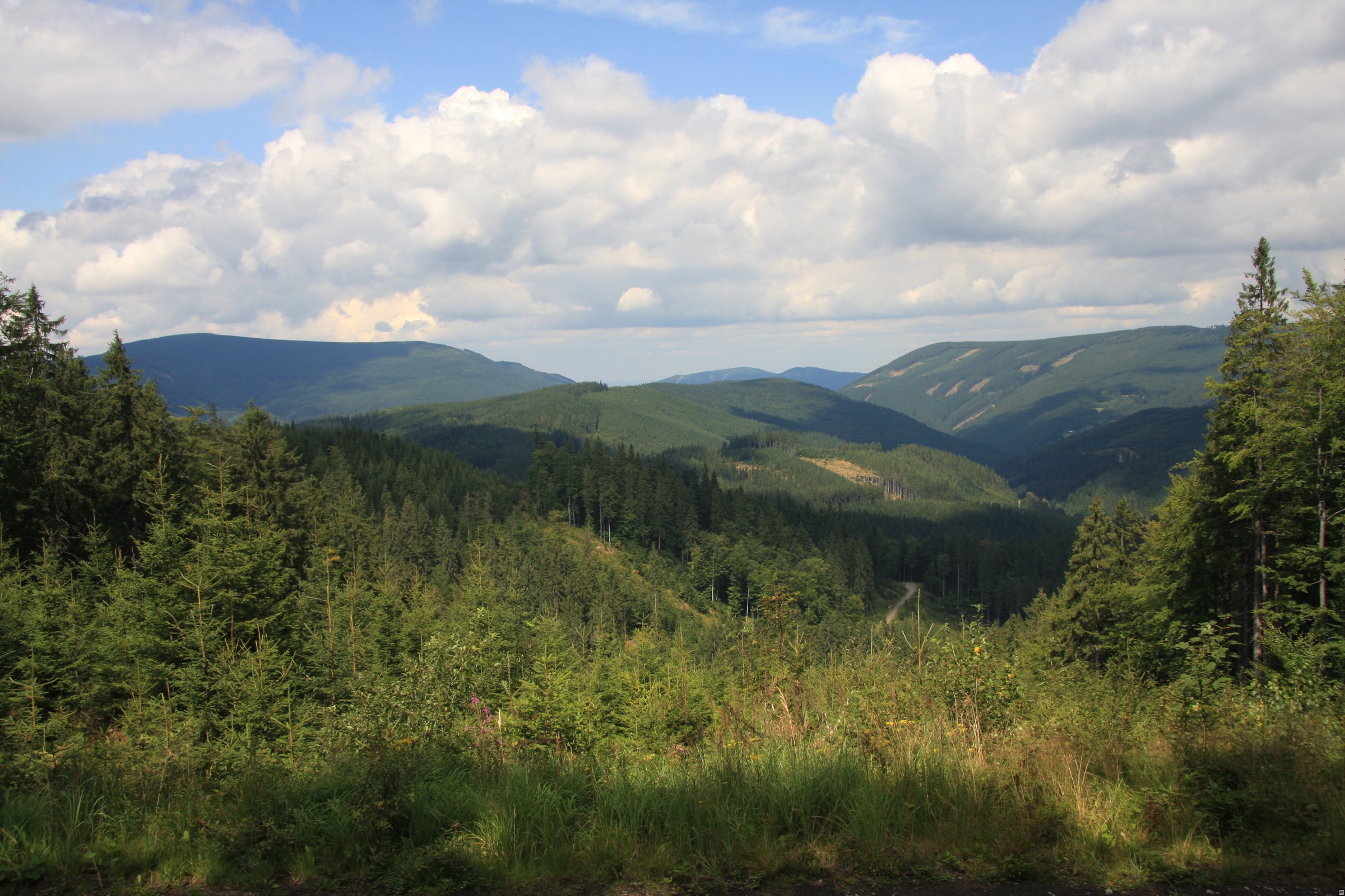 IMG_4640.jpg