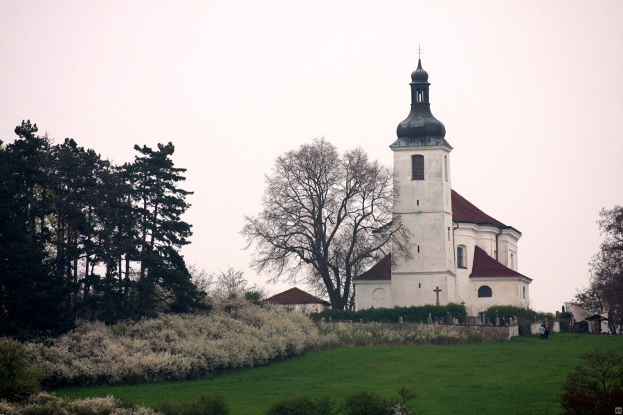 IMG_1689.jpg